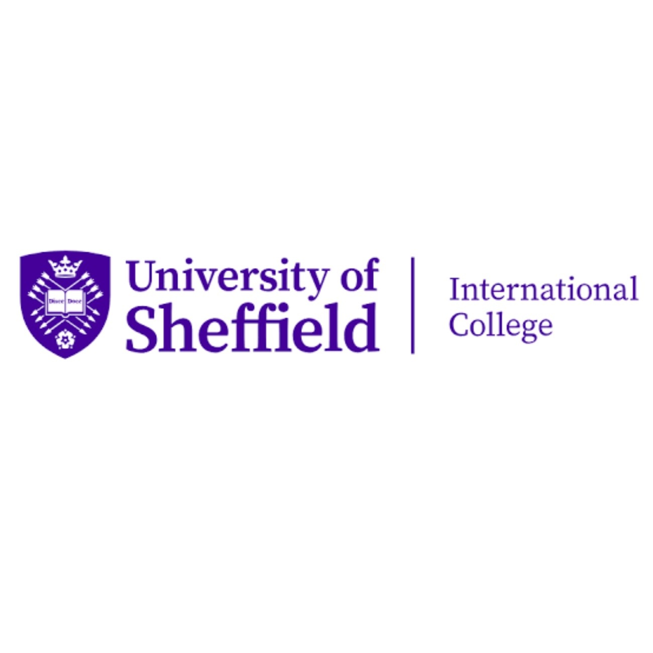 The University of Sheffield International College