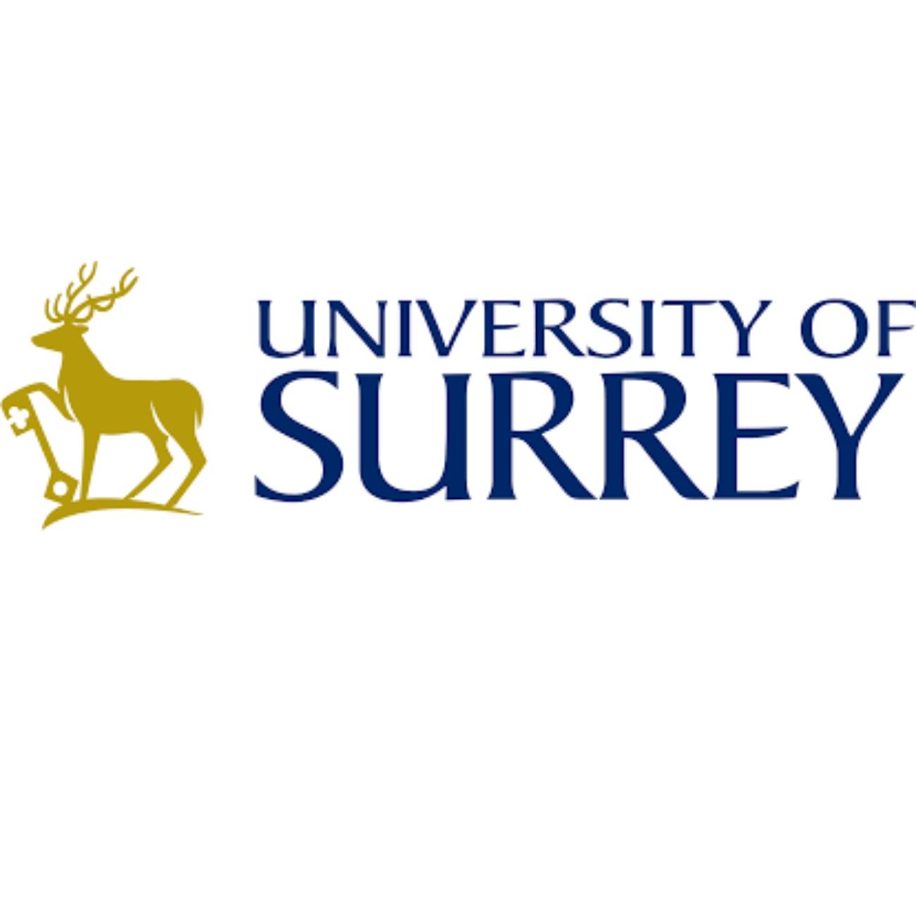University of Surrey